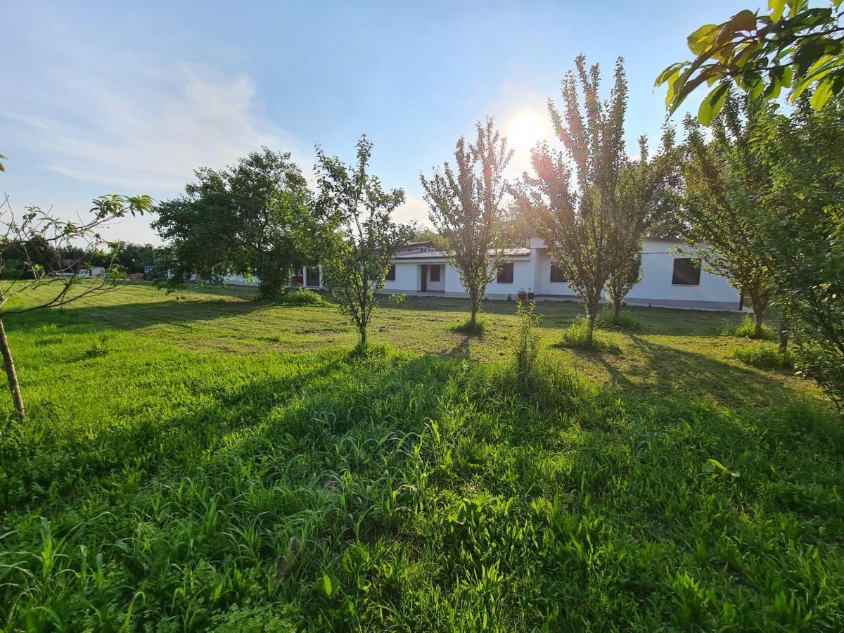 斯皮内亚Agriturismo Ca Novak Venezia别墅 外观 照片